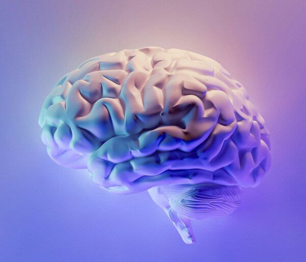 La mémoire auditive expliquée par votre expert de l'audition en France